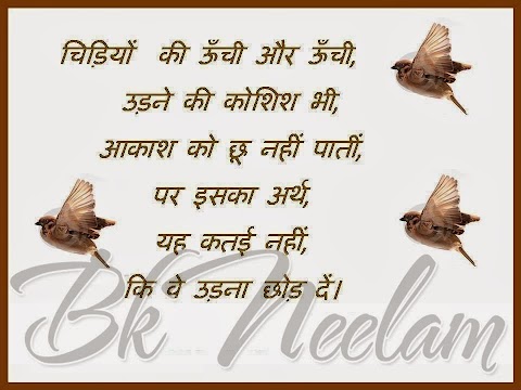 funny-love-sad-birthday sms: best shayari collection