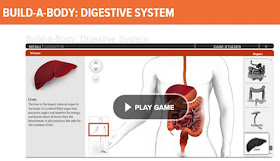  online human body systems digestive system game