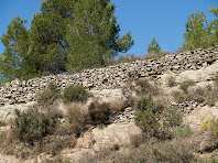 Marges de pedra seca a la baixada de la Costa del Castell