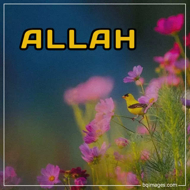 allah beautiful images