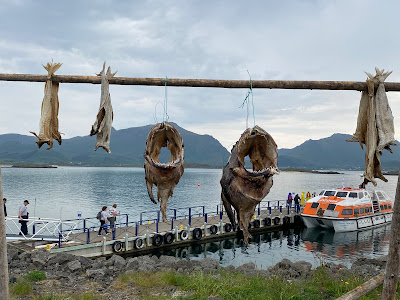drying fish at cruise ship pier in Lofoten Islands, Norway
