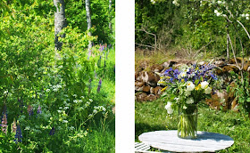 Buket skabt af blomster fra grøftekanten. en vild og naturlig buket som passer godt til at stå i haven. En skødesløs og charmerende buket til havebordet