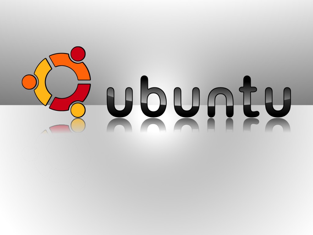 Cloning Harddisk with Ubuntu 10.04