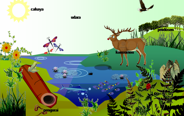 Komponen Biotik dan Abiotik dalam Ekosistem  Ekosistem 