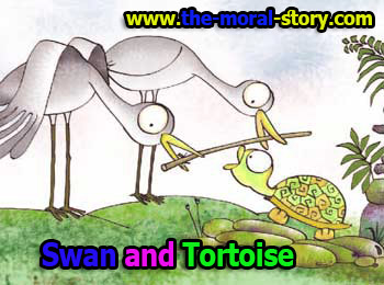 two swan and tortoise story in english
