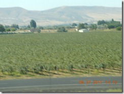 DSCN7034