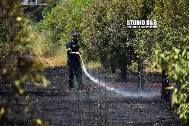 Πυρκαγιά στην Ασίνη Αργολίδας