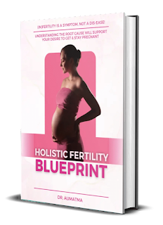Holistic Fertility Blueprint eBook