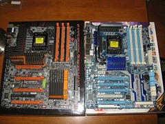 med_IMG_3601