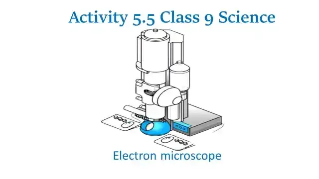 Activity 5.5 Class 9 Science Chapter 5