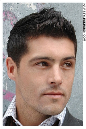 mens hairstyle guide. house 2009 men hairstyle. male