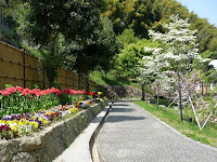 遊歩道には季節の花が植えられている