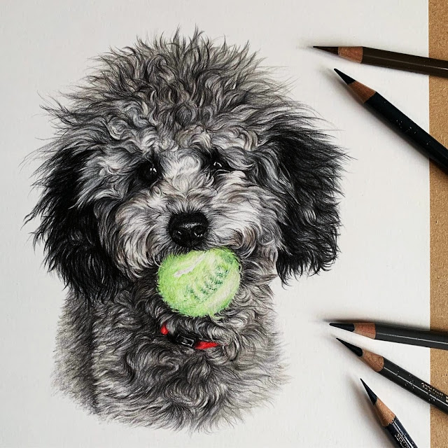 Cute Dogs Drawings Easy