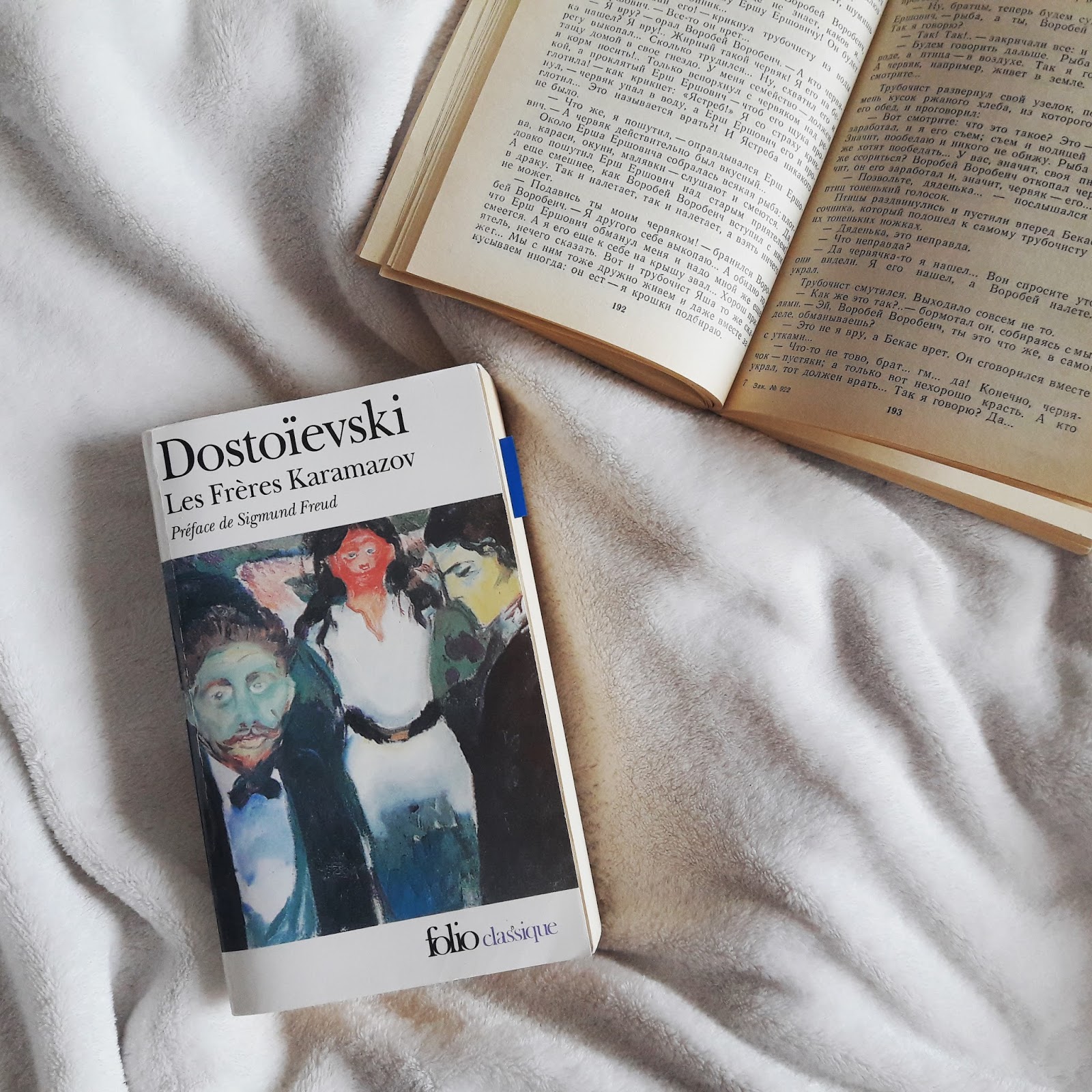 Les frères Karamazov   de Fedor Dostoïevski