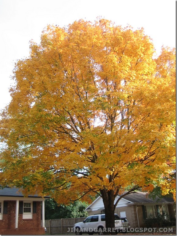 2010-10-30 003
