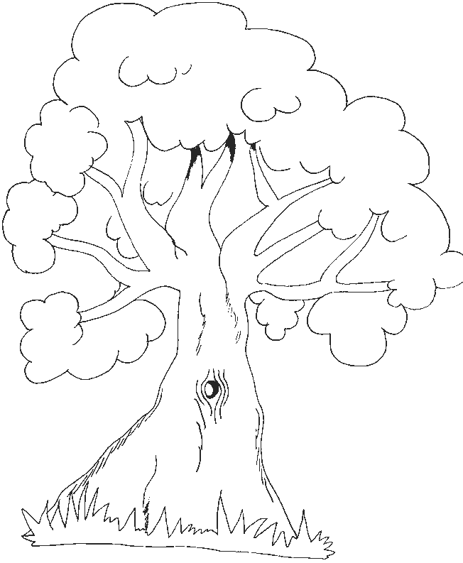 Download Cute Jungle Tree Coloring Pages