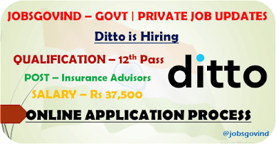 Ditto is Hiring