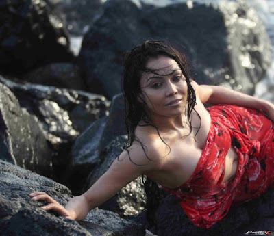 Nikita Rawal Hot Beach Photoshoot