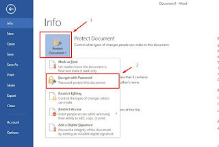 Protecting-MSWord-document-using-password