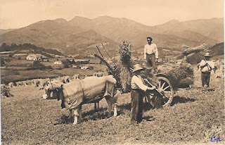 agriculture pays basque autrefois