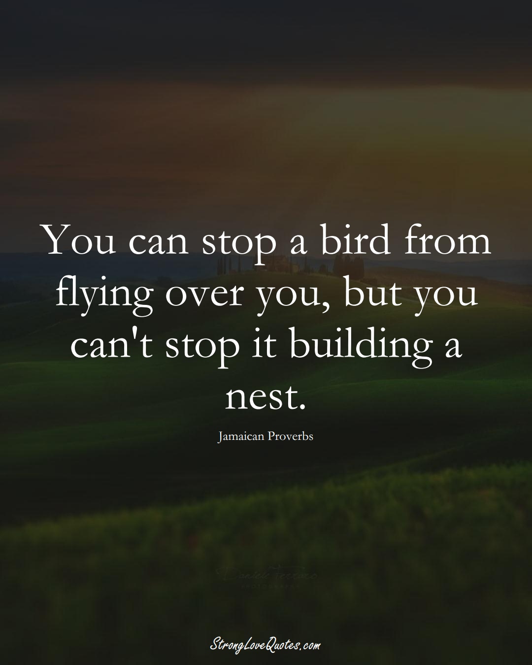 You can stop a bird from flying over you, but you can't stop it building a nest. (Jamaican Sayings);  #CaribbeanSayings