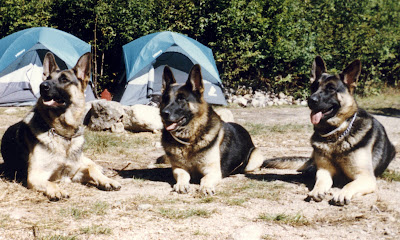 Nitro ,Gunner ,Boomer