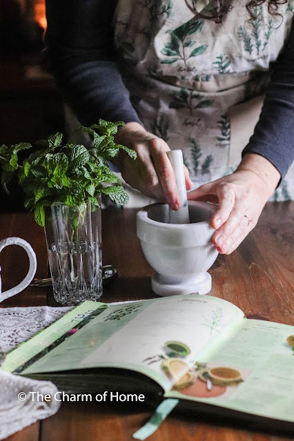 Fresh Peppermint Tea