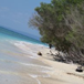 View album