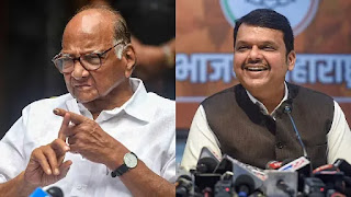 देवेंद्र फडणवीसांकडून शरद पवारांच भरभरुन कौतुक, संजय राऊत म्हणाले... देवेंद्र फडणवीसांकडून शरद पवारांच भरभरुन कौतुक, संजय राऊत म्हणाले...
