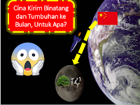 Cina Kirim Binatang dan Tumbuhan ke Bulan, Untuk Apa?