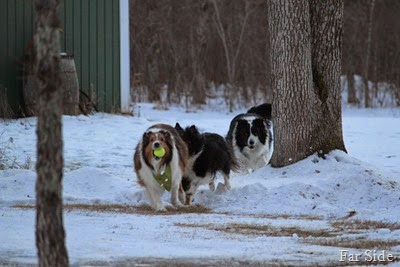 Miney has the ball
