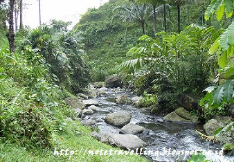 Curug Ceheng Banyumas yang Indah dan Sejuk