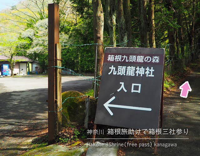 箱根 九頭龍の森から湖尻までの道