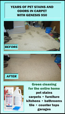 how to clean pet stains from carpet