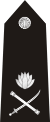 Additional IGP: