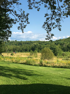 Green, rolling forested hills of Bracebridge, Ontario, Canada