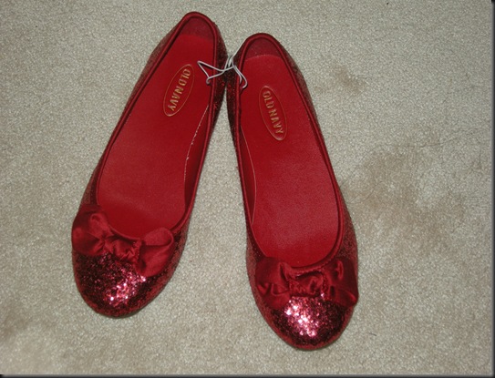 Shoes 006