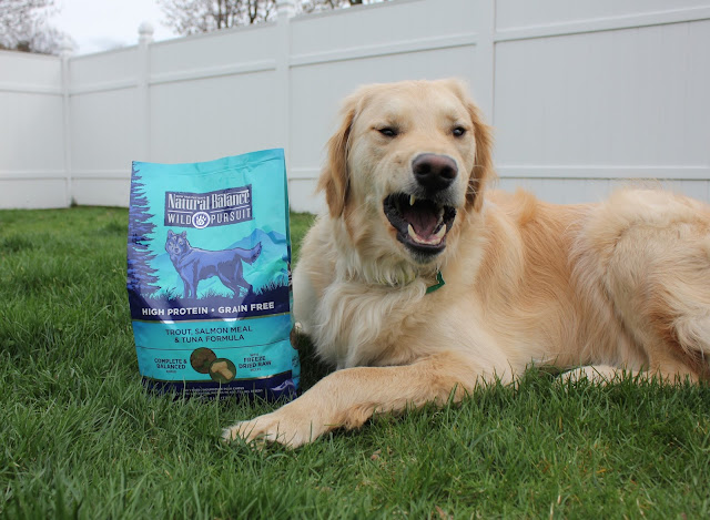 Natural Balance Wild Pursuit Dog Food