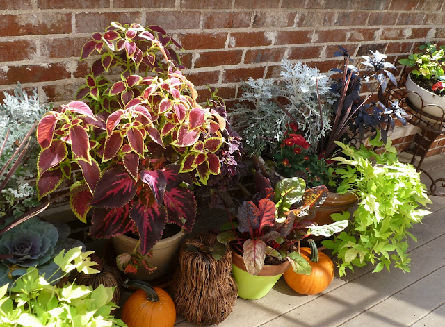 Design Improvised: How to Transform Your Container Garden for Fall