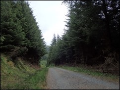 P6130728