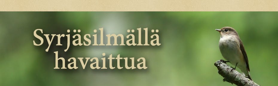 Syrjäsilmällä havaittua