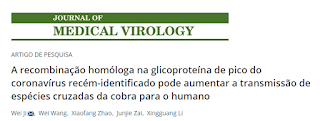  o 2019-nCoV provavelmente residia em cobras antes de ser transmitido aos seres humanos