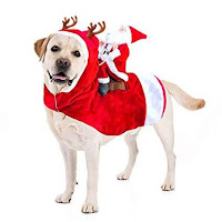 Cute Holiday Dog Clothes and Accessories.