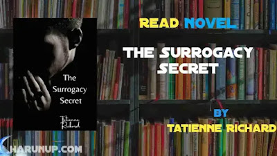 The Surrogacy Secret Novel
