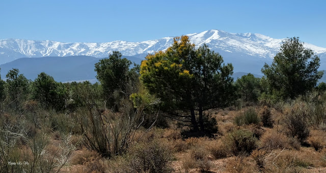 Sierra Nevada, Mirador Fin del Mundo