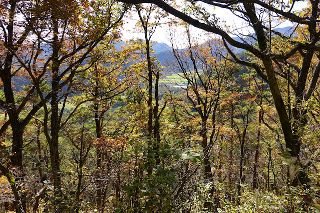 鳥取県西伯郡大山町豊房 ツバヌキ山登山道からの眺望