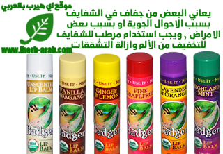 مرطب شفايف عديم الرائحة عضوي ومعتمد Badger Company, Organic Lip Balm, Unscented, .15 oz (4.2 g)