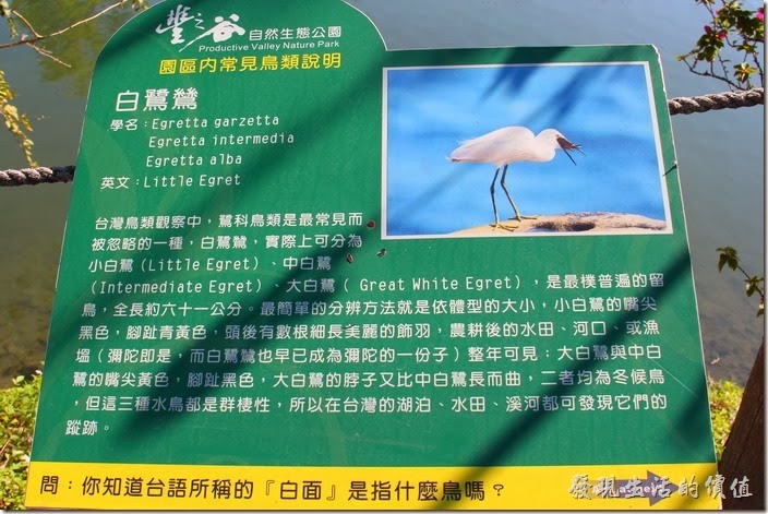花蓮-理想大地渡假村-豐之谷生態公園(白鷺鷥)