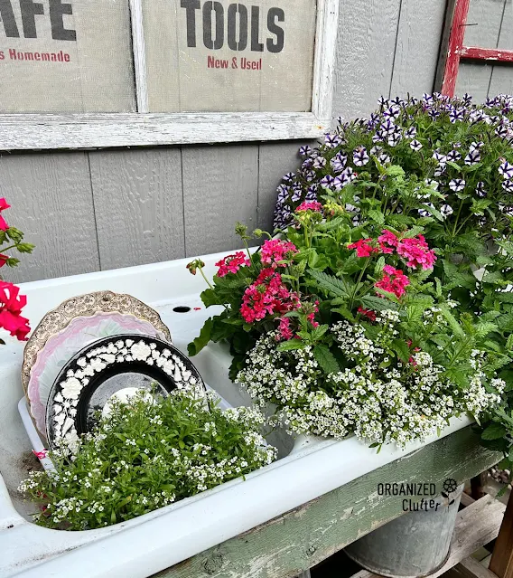 Photos of container garden at planting time & in July.