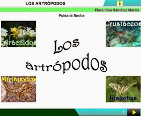 http://cplosangeles.juntaextremadura.net/web/edilim/curso_3/cmedio/animales_invertebrados_3/artropodos/artropodos.html